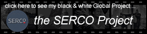 The Serco Project